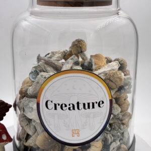 Creature Magic Mushrooms 🍄