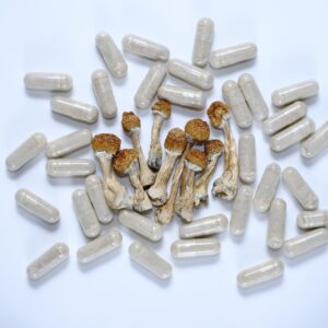 Magic Mushrooms Capsules
