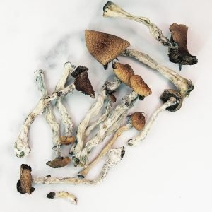 Alternative view of PES Hawaiian
