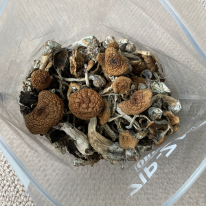 Alternative view of Thai Mushrooms